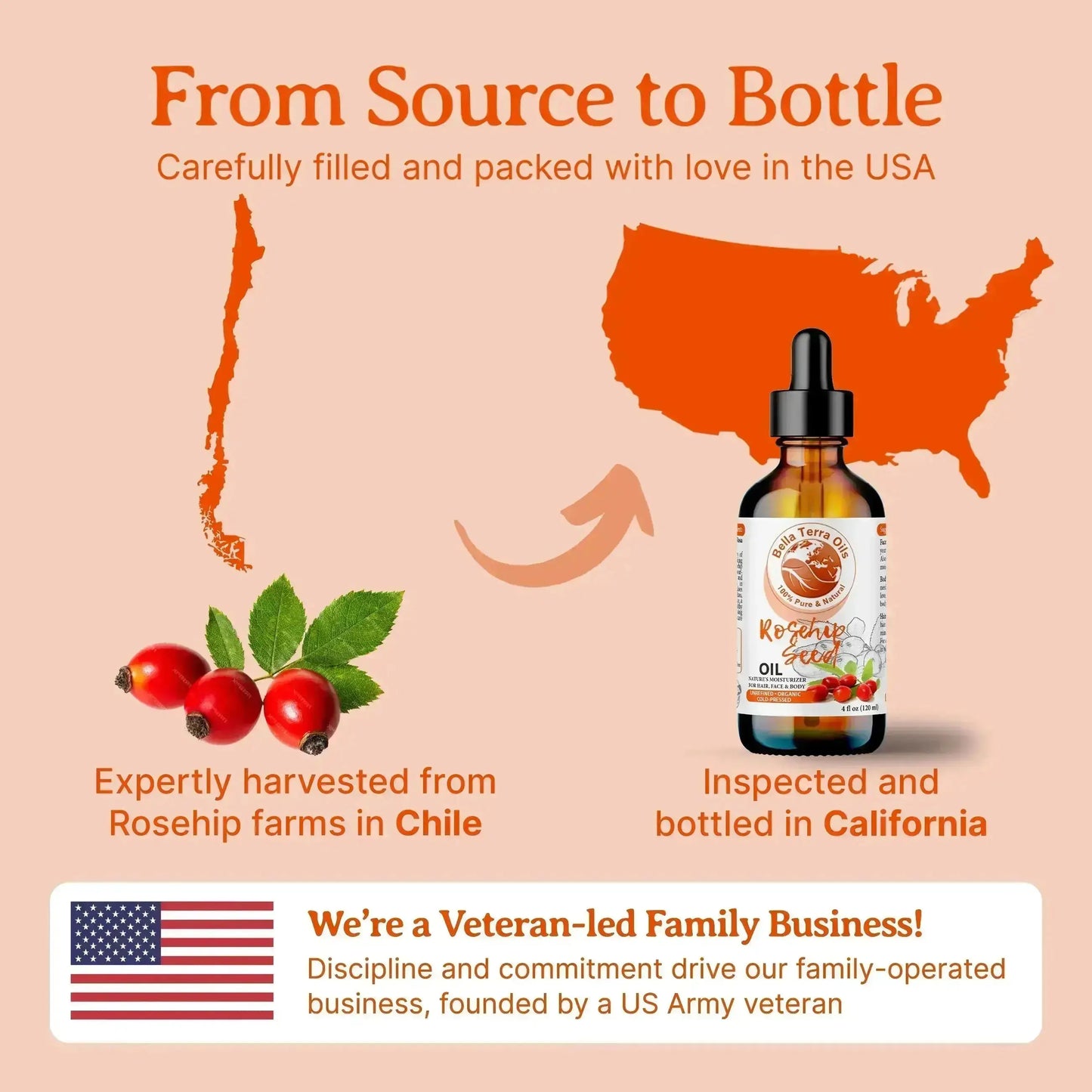 Rosehip Seed Oil: Cold-Pressed, Pure, Ideal for Skin Regeneration and Care - Bella Terra Oils