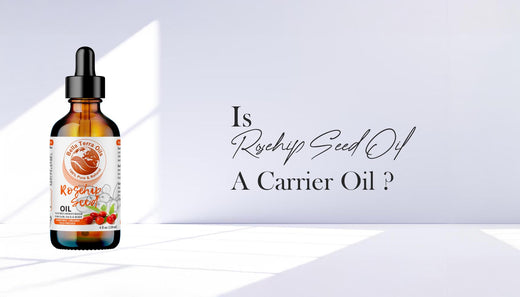 is-rosehip-oil-a-carrier-oil