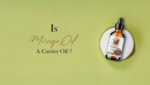 is-moringa-oil-a-carrier-oil