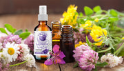 hydrosol-vs-essential-oil