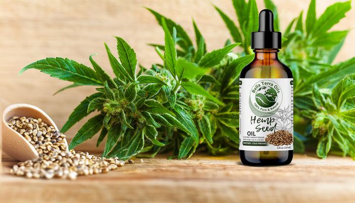 how-to-extract-hemp-seed-oil