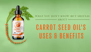 carrot-seed-carrier-oil