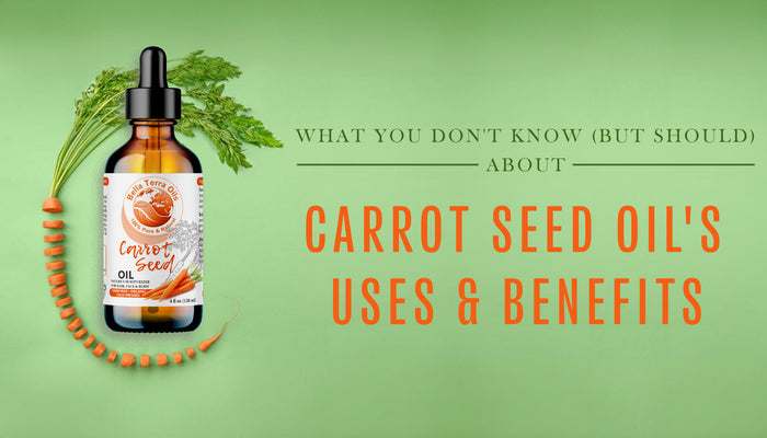 carrot-seed-carrier-oil
