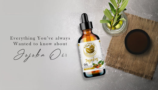 what-is-jojoba-oil-good-for
