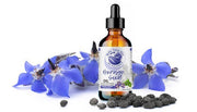 Borage Seed Oil - Bella Terra Oils