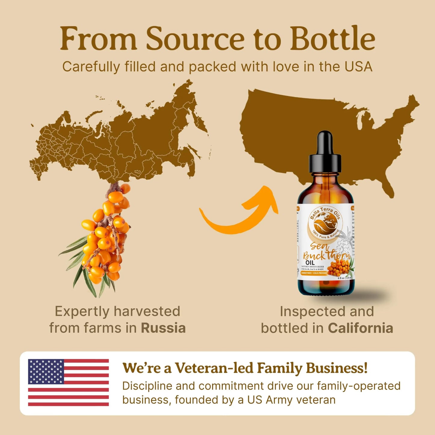 Diagram showing the journey of sea buckthorn oil from Russia to California, with a bottle of oil and map illustrations.