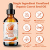 Bulk Wholesale Carrot Seed Oil Gallon - Bella Terra Oils