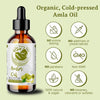 Amla Oil - Bella Terra Oils