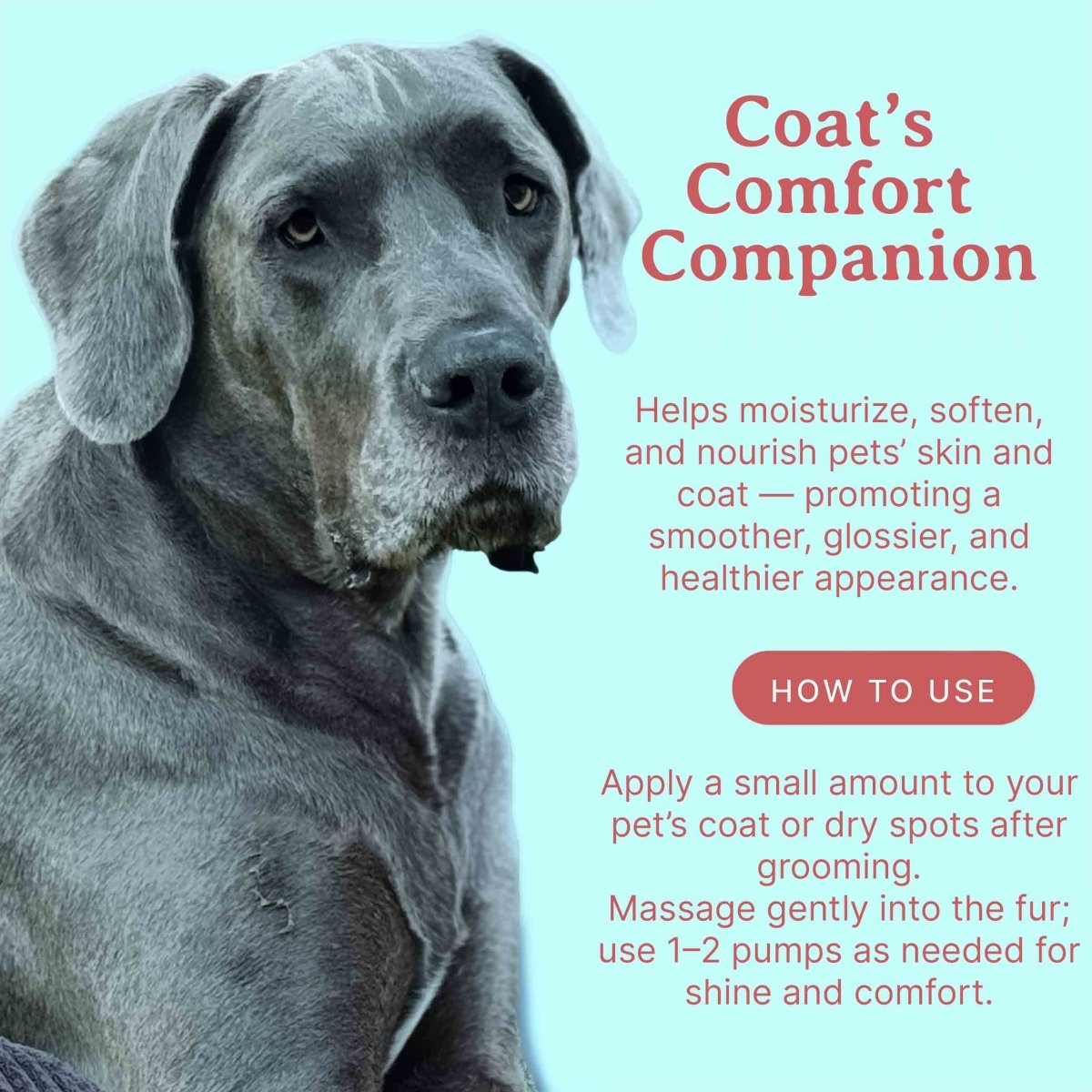 FurFirst Aid Universal Skin Soother Oil - Bella Terra Oils