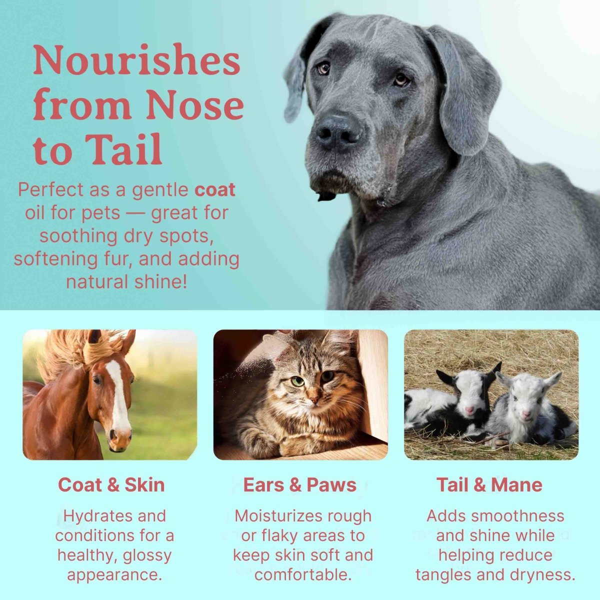 FurFirst Aid Universal Skin Soother Oil - Bella Terra Oils
