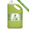 Green Coffee Bean Oil Gallon - 128oz - Bella Terra Oils