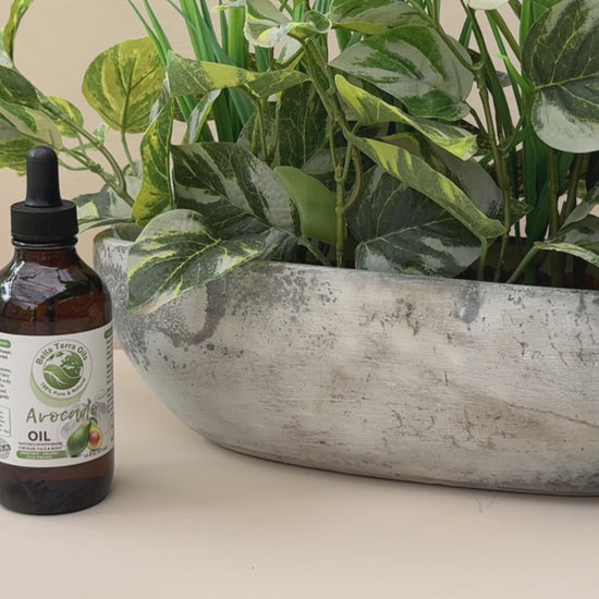 Avocado Oil - revised